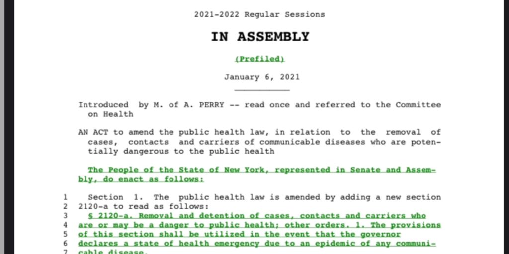 🚨 New York State Bill A416 is Dangerous 🚨 The P.A.S. Report