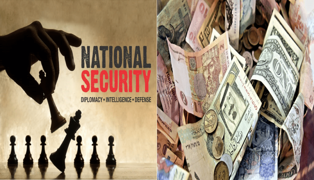 education national security