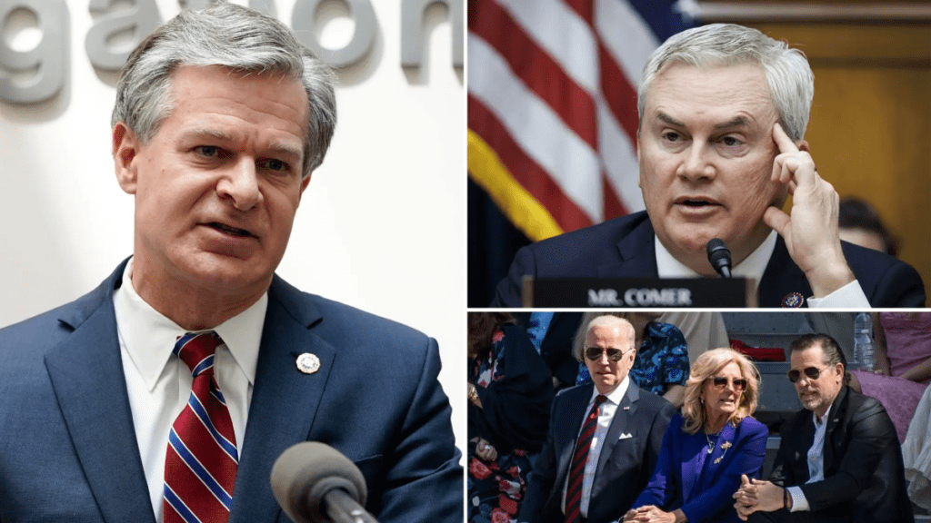 The DOJ FBI Cover-up 