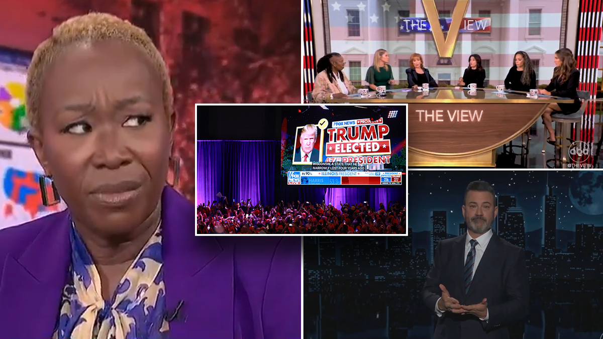 Trump 47th President, Democrats Meltdown and DEI Rejected